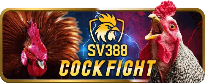 Thưởng hàng ngày và VIP